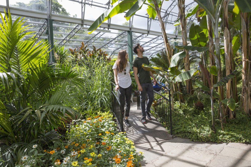 David Welch Winter Gardens photo credit to Kenny Lam & Visit Scotland