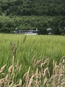 Balvenie Distillery - few from afar Speyside Cottages