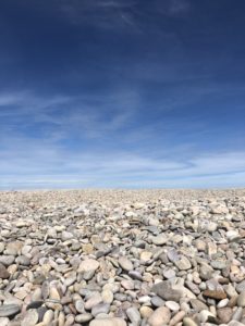 Spey Bay - cafe and Dolphin spotting location, Speyside Cottages