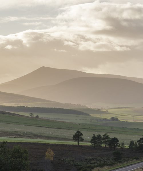 Ben Rinnes Blasted by Light with thanks to Jasper Image